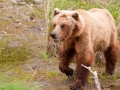 Alaska-13