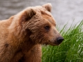 Alaska-14