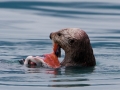 Alaska-160