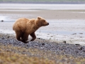 Alaska-231