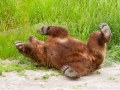 Alaska-27