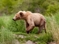 Alaska-8