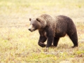 Alaska-102