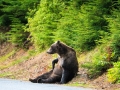 Alaska-107