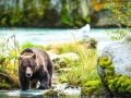 Alaska-108