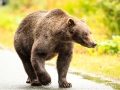 Alaska-118