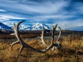 Alaska-209