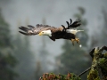 Alaska-25