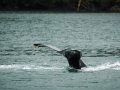 Alaska-29