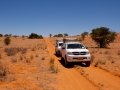 Kalahari-meets-Etosha-54
