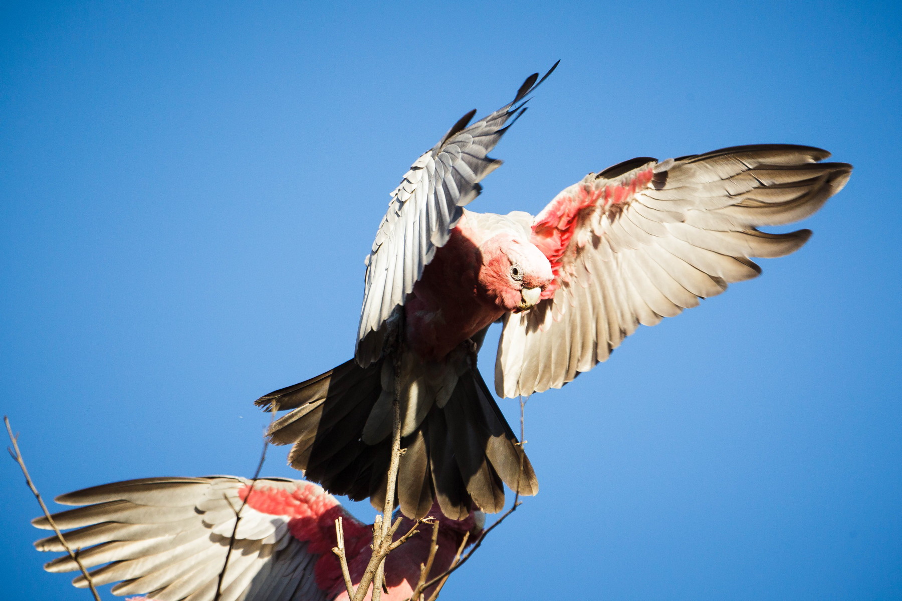 Blog-35-4