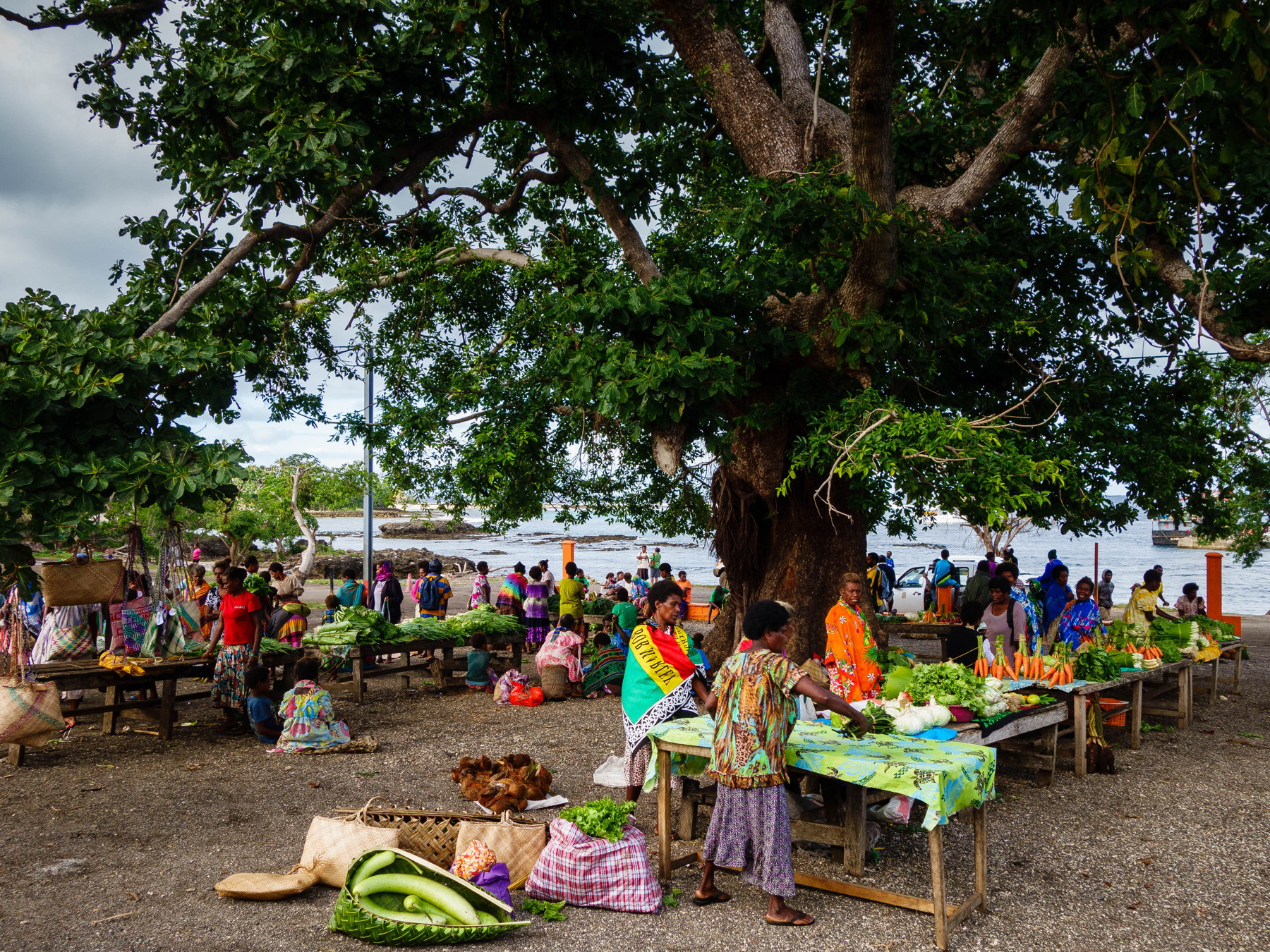 Blog-54-Vanuatu-8