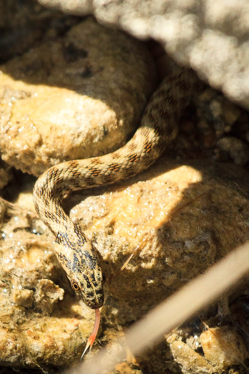Blog-3-Krka-12