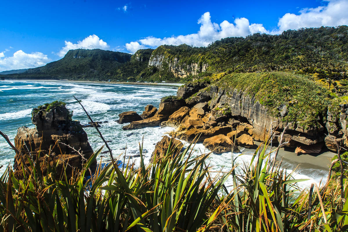 New Zealand West Coast, South Island WildlifeMoments.de